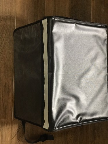 Insulated cargo bag trike