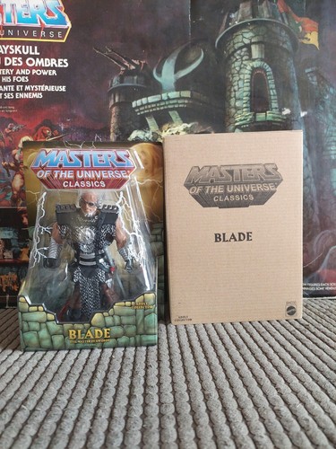 Masters the universe - the,