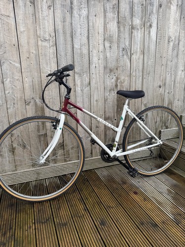 Raleigh pioneer vintage - pioneer,