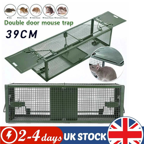 Rat trap squirrel door mouse - rat,
