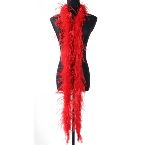 Decorative ostrich feather - 2m,