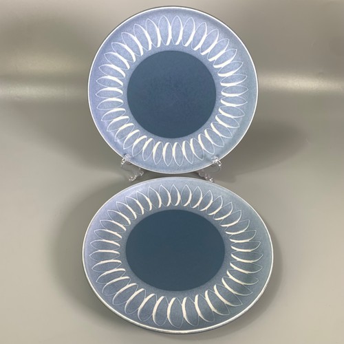 Vintage midcentury denby echo - vintage,