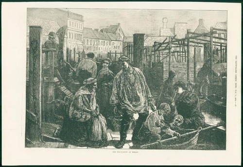 1874 antique print - -,