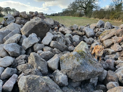 Big rocks and small rocks