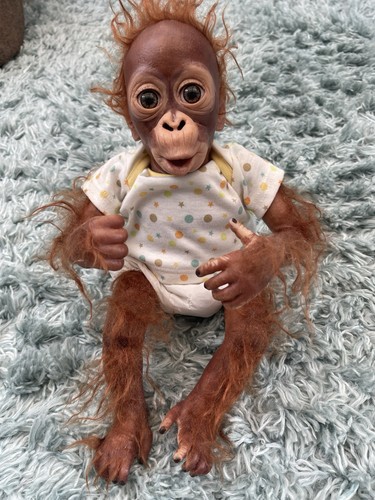 Artist doll ashton - doll,