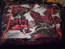 Stunning Kipling Rose Bloom