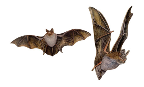 Bat magnet set - magnet,