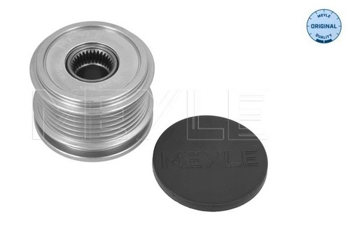 Alternator freewheel clutch - freewheel,