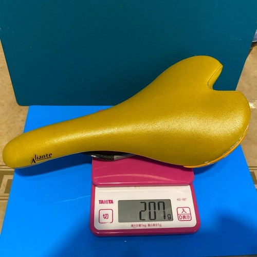 Fizik alian aliante - fizik,