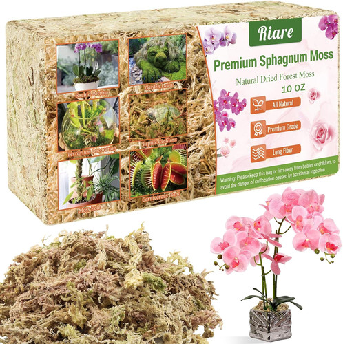 300g natural sphagnum moss for - sphagnum,