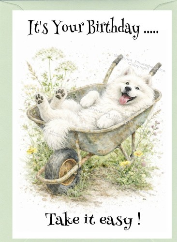 Samoyed dog birthday - (4", 6")