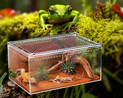 Spider enclosure transparent - enclosure,