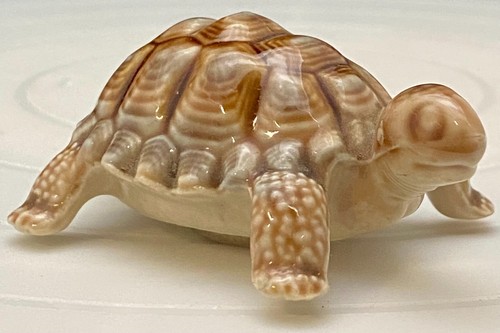 Vtg pair brown turtle - vtg,