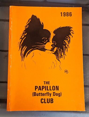 The papillon - the, dog)