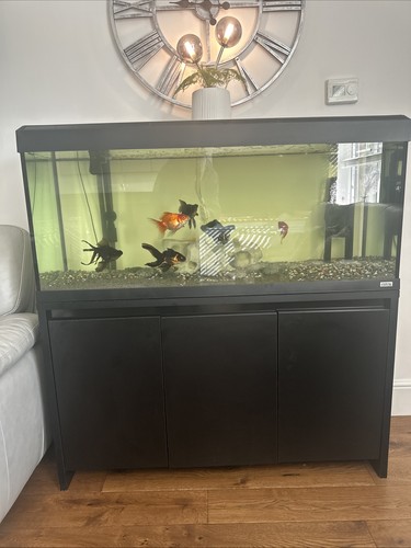 Fluval roma 240 - roma, aquarium