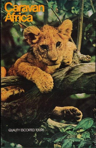 Caravan africa 1984 - caravan,