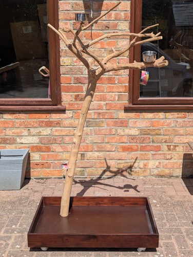 Parrot stand kiln - parrot, dried