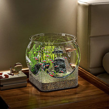 Transparent Round Fish Bowl