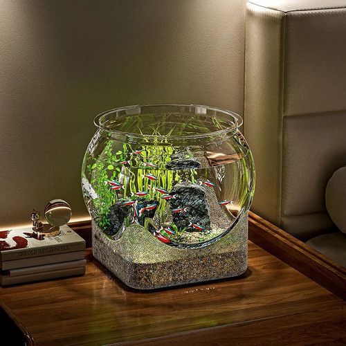 Clear round fish - fish, aquarium
