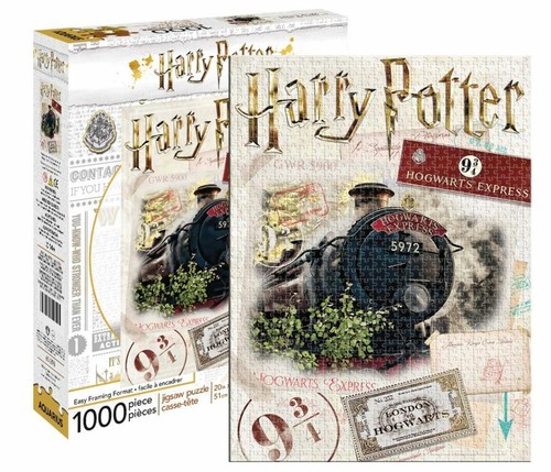 Harry potter train ticket 1000 - potter,