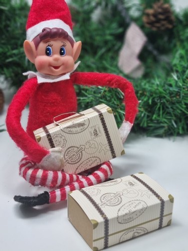 Elf suitcases accessories - suitcases,