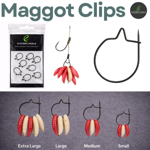 Maggot clip rings carp - maggot,