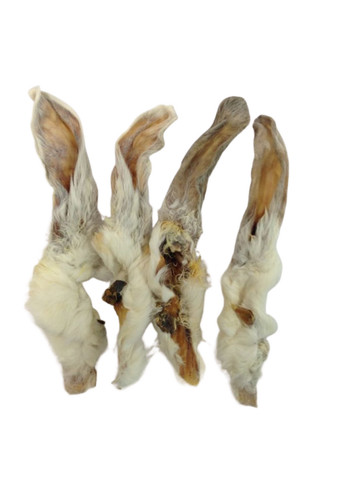 Rabbit ears with - ears, fur