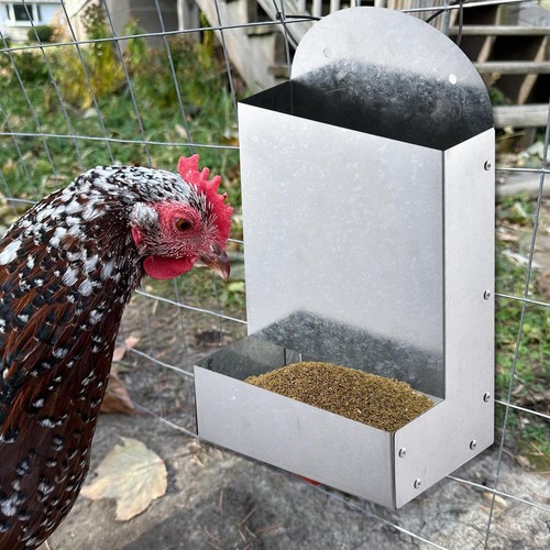 Automatic chicken feeder grit - automatic,