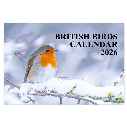 2026 british birds wall - british,