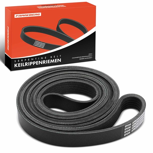 Ribbed belt for audi - belt,