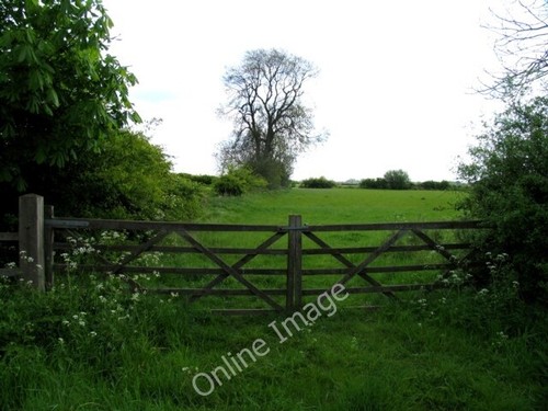 Photo 6x4 fields - fields, the