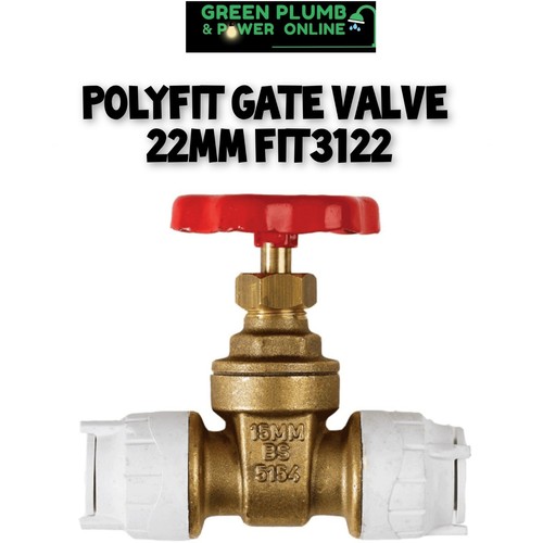 Polyfit gate valve - polyfit, 22mm