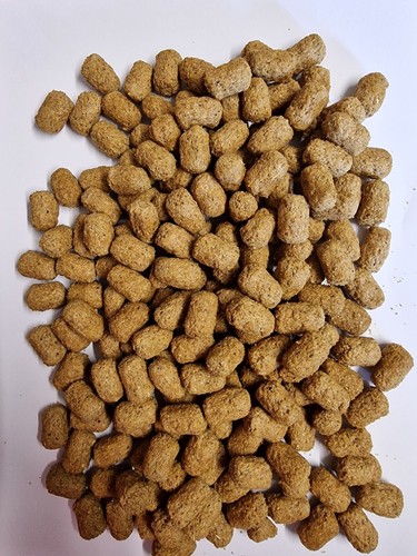 Mazuri tortoise food 500g - ,
