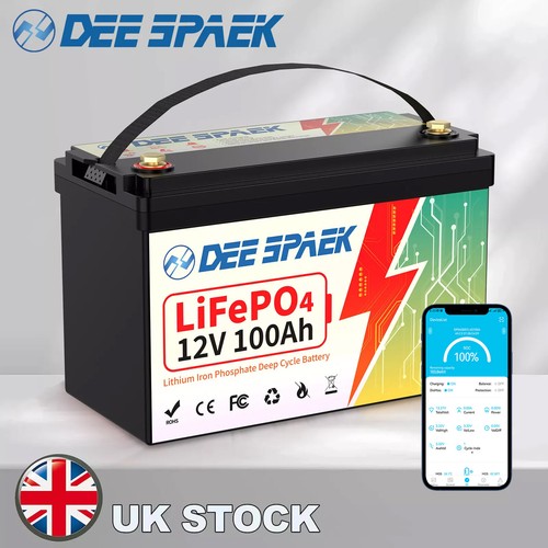 12v 100ah lifepo4 - 12v,