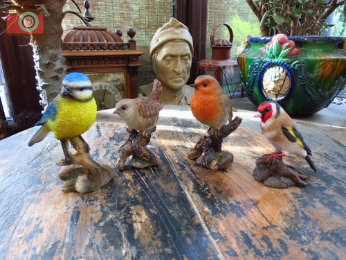 Set garden birds vivid - of, birds.