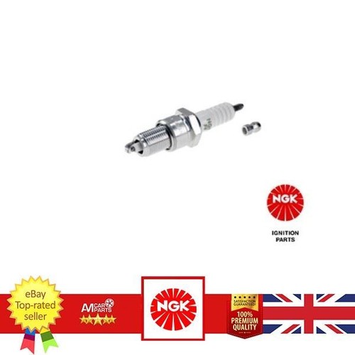 Spark plug for bertone - for,