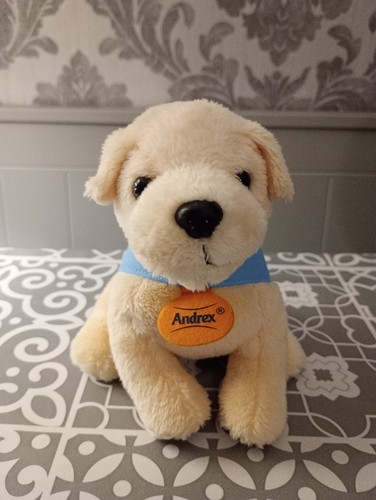 Andrex puppy guide dogs - puppy, in
