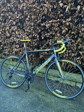 Carrera Men's TDF LTD Road