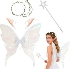 Fairy Wings Costume Set -