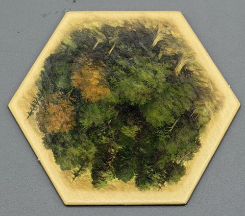 Forest settlers of - -,