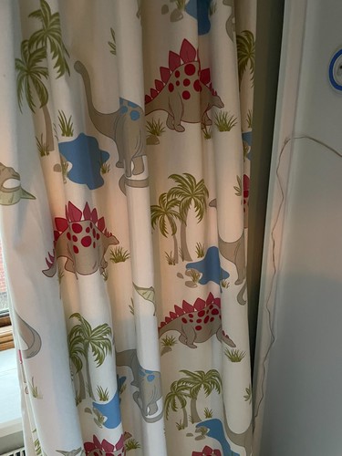 Dinosaur curtains and bedding - and,