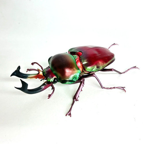 Used bandai gashapon - 【used】,