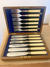 Antique Allen & Darwin Canteen Silver Plated Fish Cutlery Set Rosewood Case 12pc