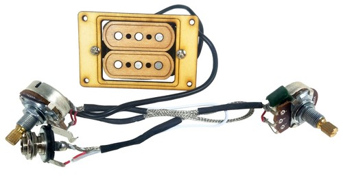 Deltabucker deluxe 3 string - "deltabucker, 3-string