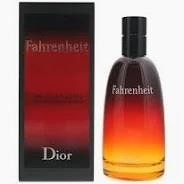 Dior fahrenheit mens edt 100ml - mens,