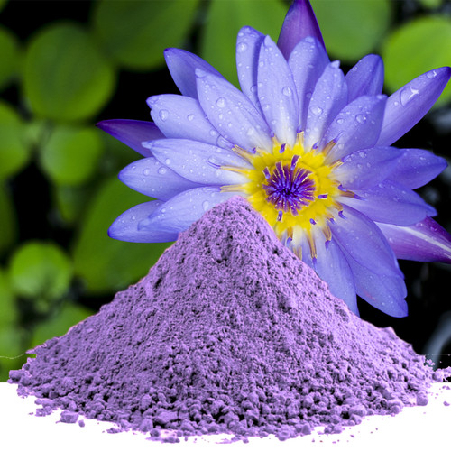 Blue lotus flower powder - blue,