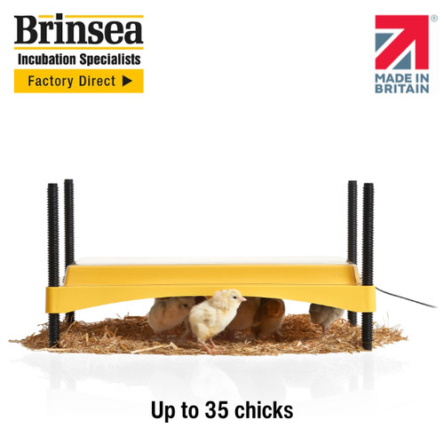 Brinsea ecoglow safety - ecoglow, 1200