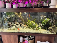Juwel Rio 450L Fish Tank
