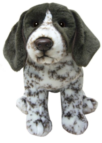 German shorthaired pointer - german,