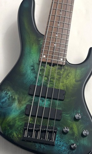 Sadowsky ml24 ms5 special - ms5,
